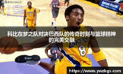 OB电竞官网